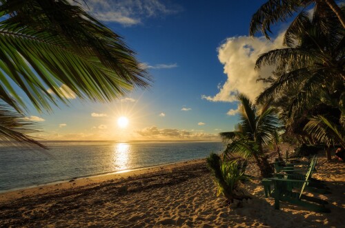 Palmiye-Agaclari-Cook-Adalari-Pasifik-Okyanusu-Rarotonga-Rarotonga-Adasi.jpg