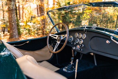 Shelby-Cobra-289.jpeg